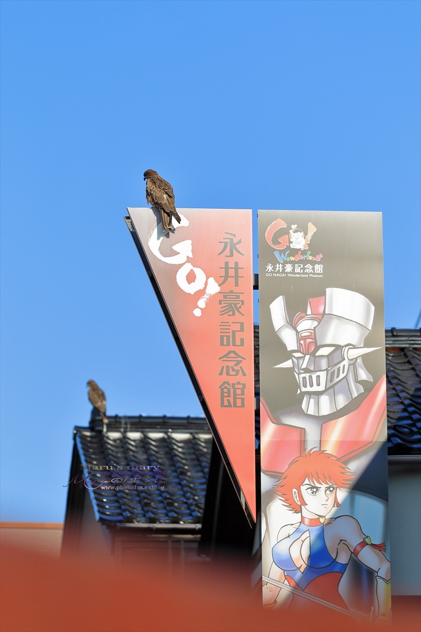 まゝに/9月の散策 能登半島4_d0342426_11342564.jpg
