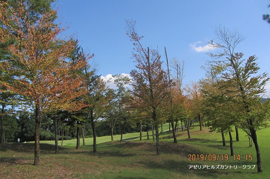 e0052135_18442539.jpg