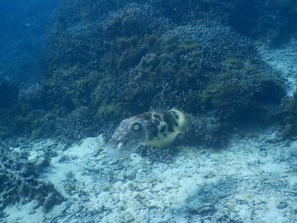 a0189838_10505277.jpg