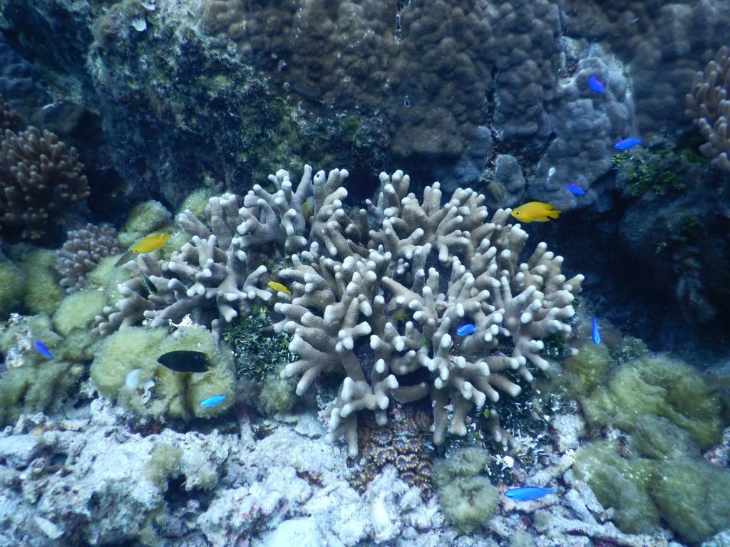 a0189838_10520172.jpg