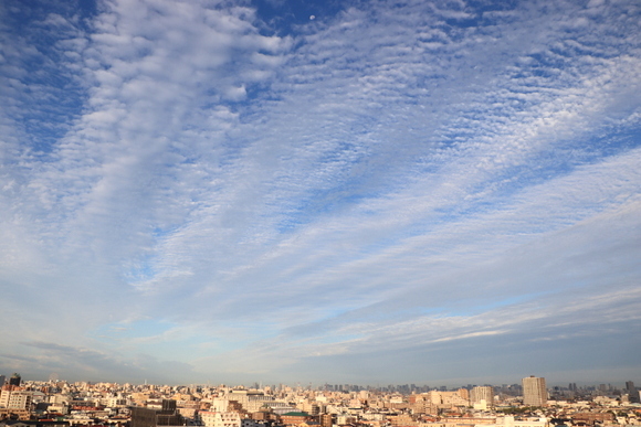 e0234741_00314427.jpg