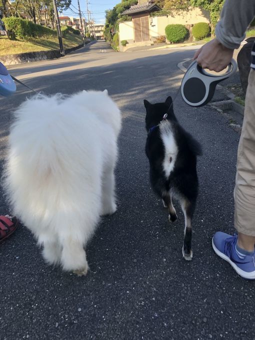 2019年9月前半 インスタ写真集 その2_f0128542_01244497.jpg
