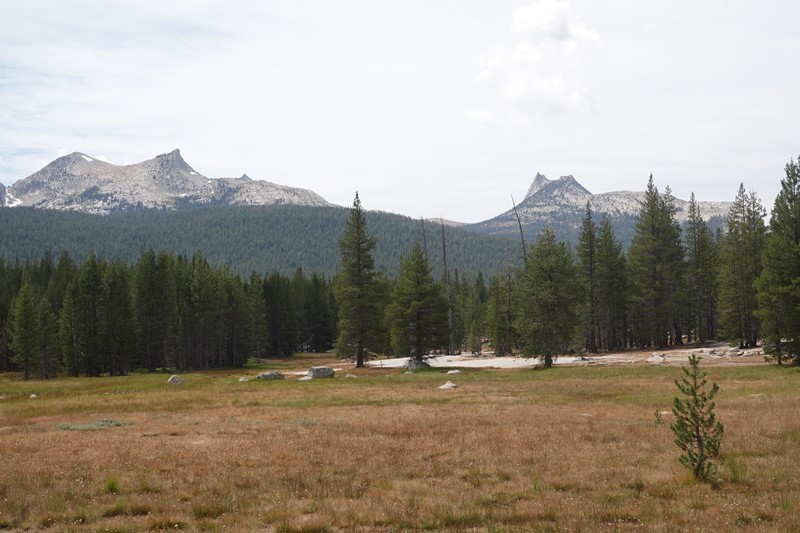 b0227552_18594771.jpg