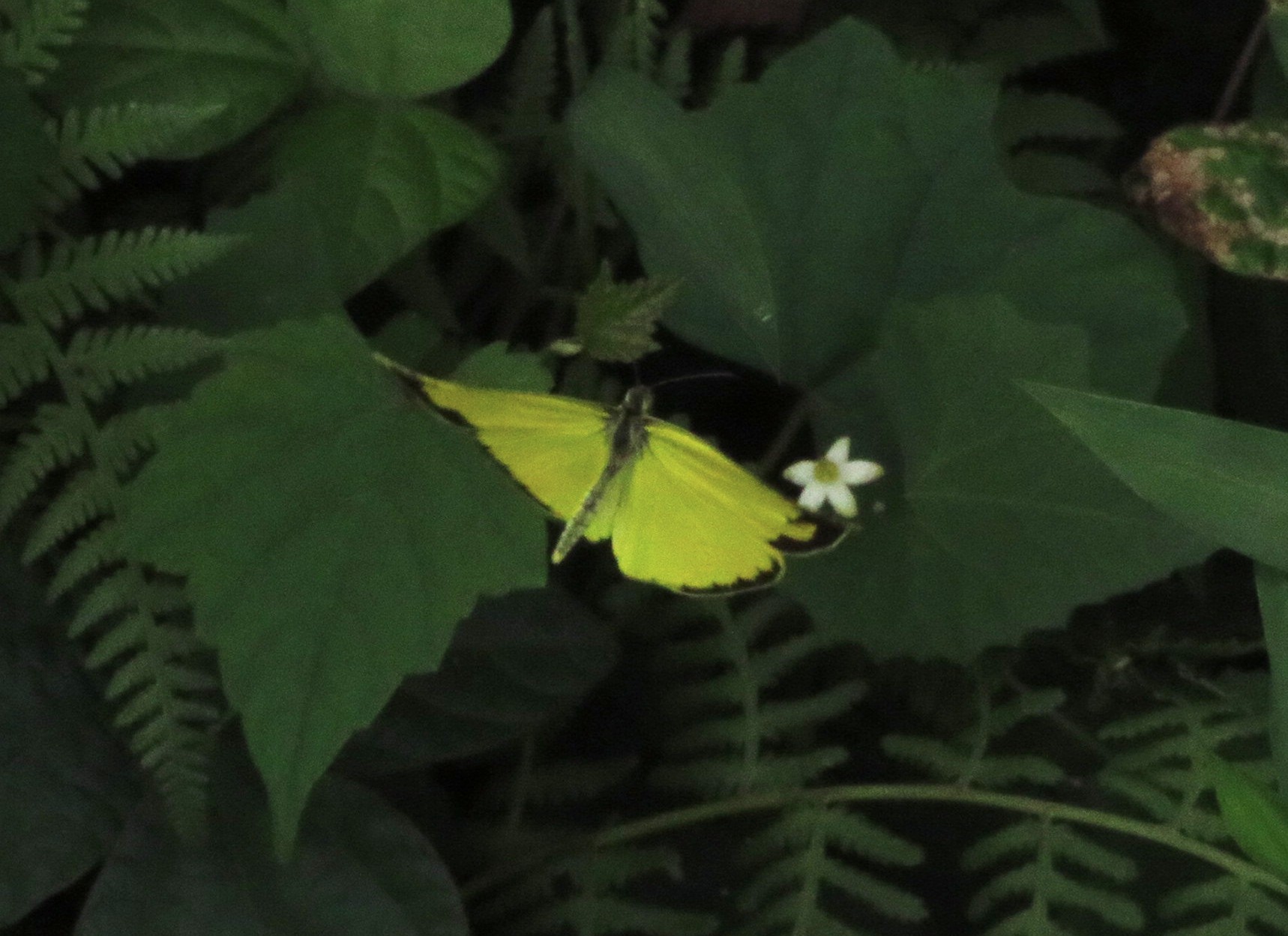 a0018655_09044058.jpg