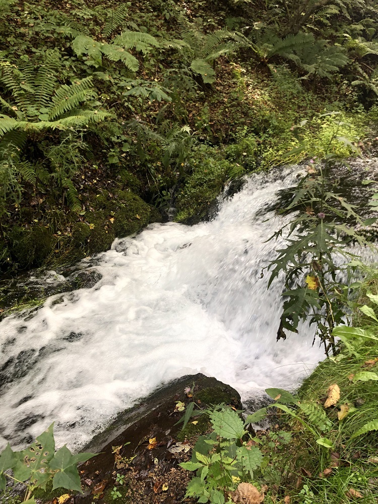 9月20日　渋谷　原宿　の自転車屋　FLAME bike前です_e0188759_20440035.jpeg