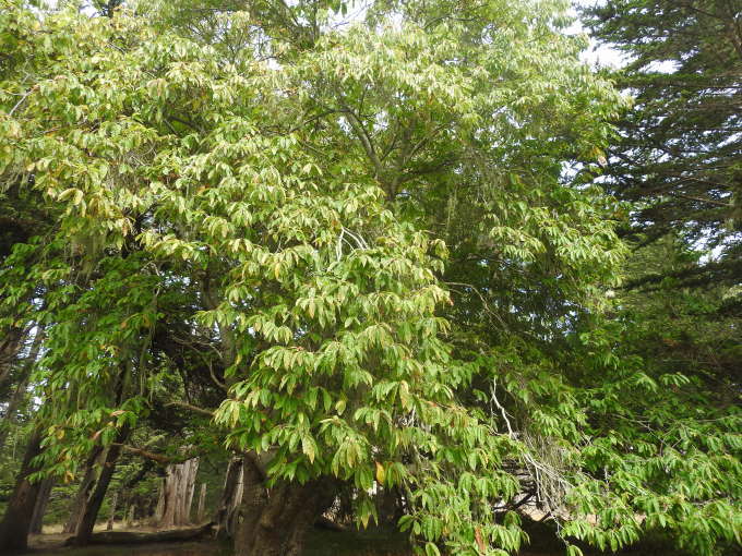 c0115366_15435046.jpg