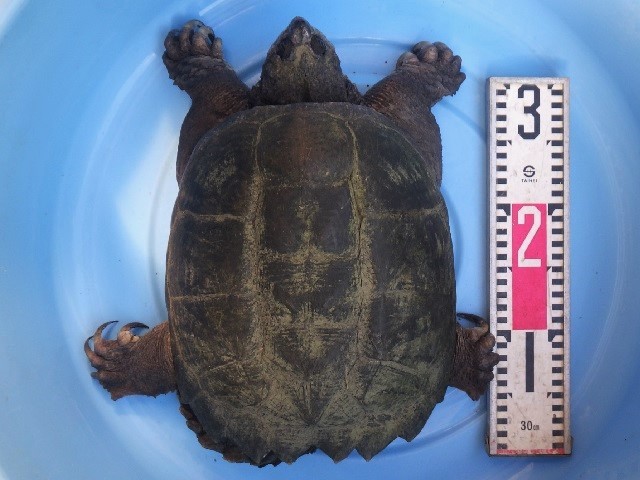 c0105569_01474174.jpg