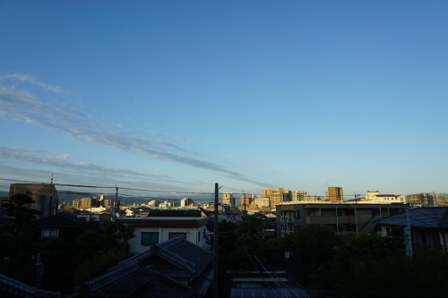 c0169176_07451031.jpg