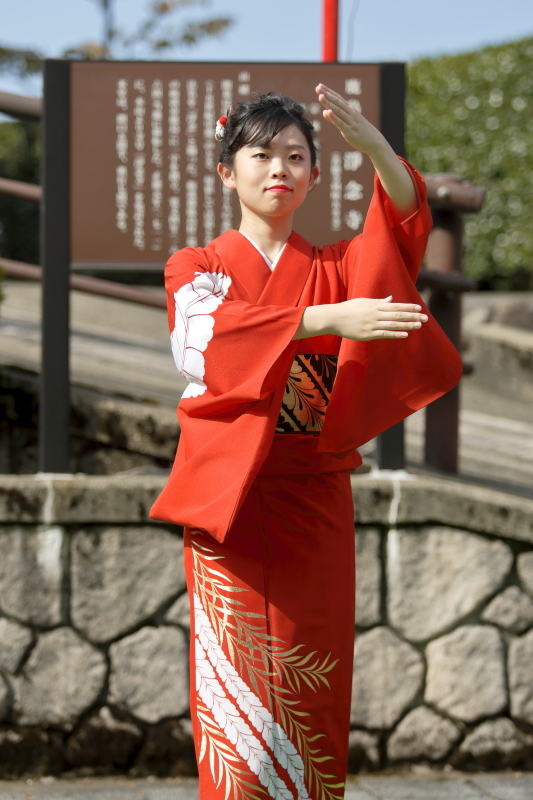 城端むぎや祭り　2019　薪こるてふ深山辺に_c0196076_18002034.jpg