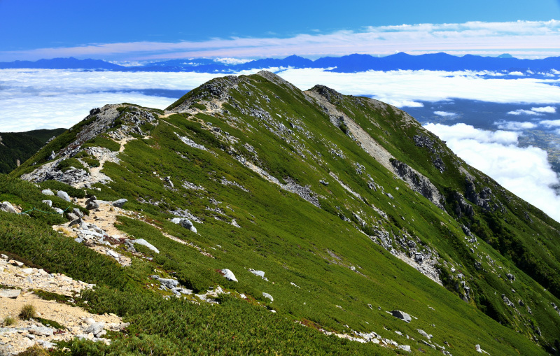 d0341880_07220546.jpg