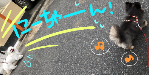 トレーニングブログ_f0357682_22582922.png