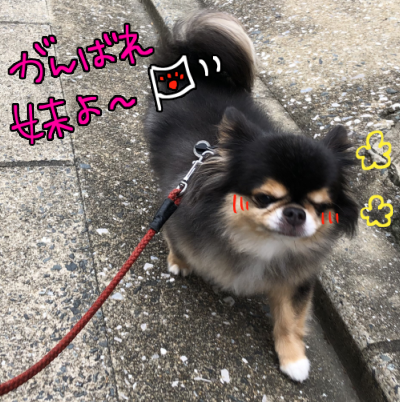 トレーニングブログ_f0357682_23040825.png
