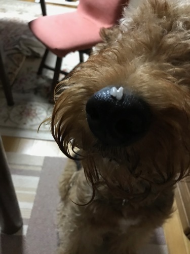 a0216583_23403674.jpeg