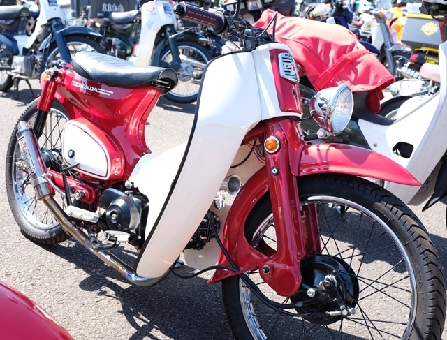 a0279883_00511504.jpg