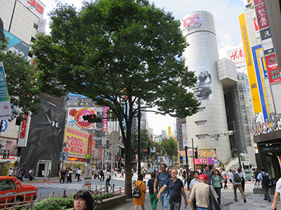 b0056983_16445385.jpg