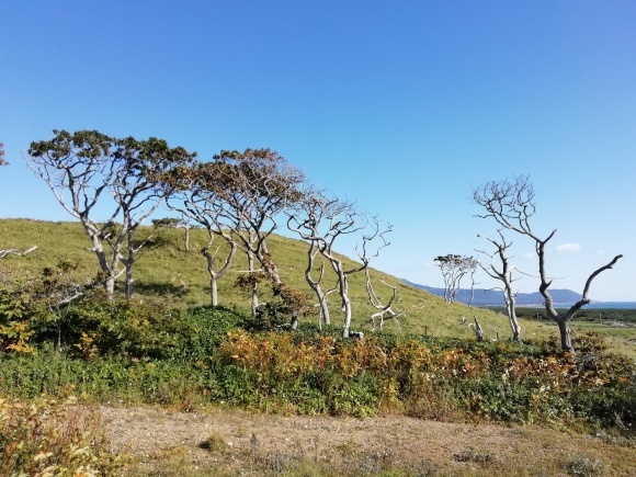 c0212083_16411366.jpg