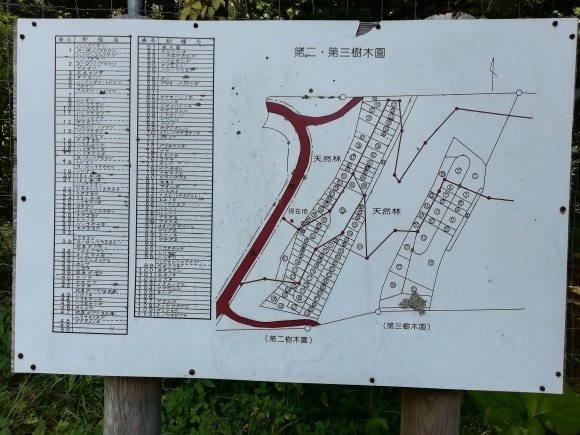 c0212083_16440219.jpg