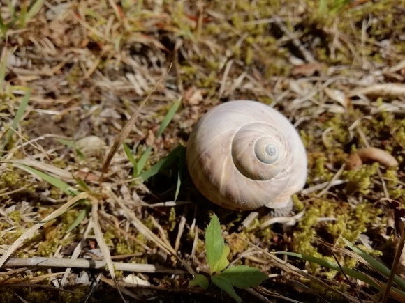 c0212083_16444270.jpg
