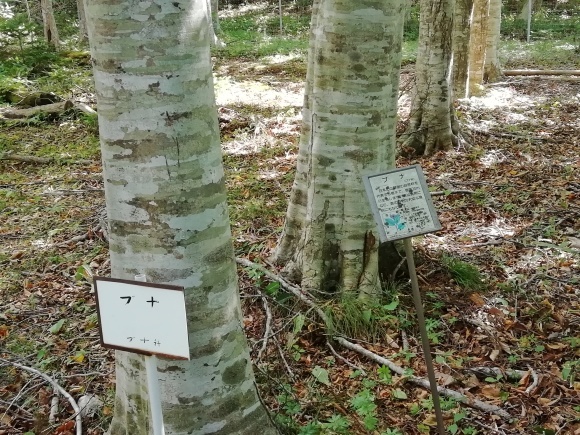 c0212083_17164078.jpg