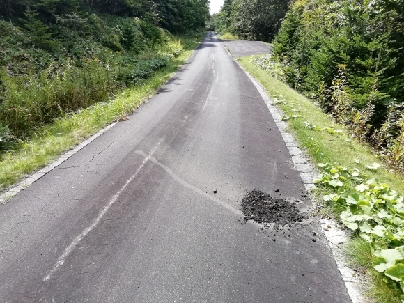 c0212083_17184681.jpg