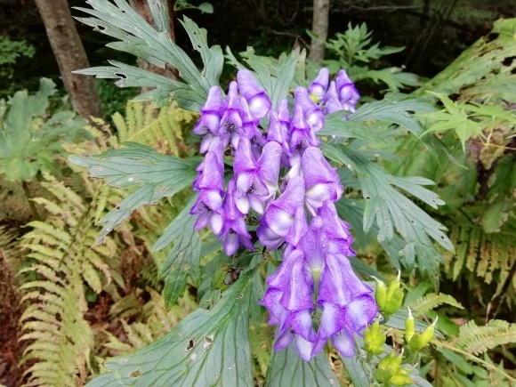 c0212083_17191791.jpg