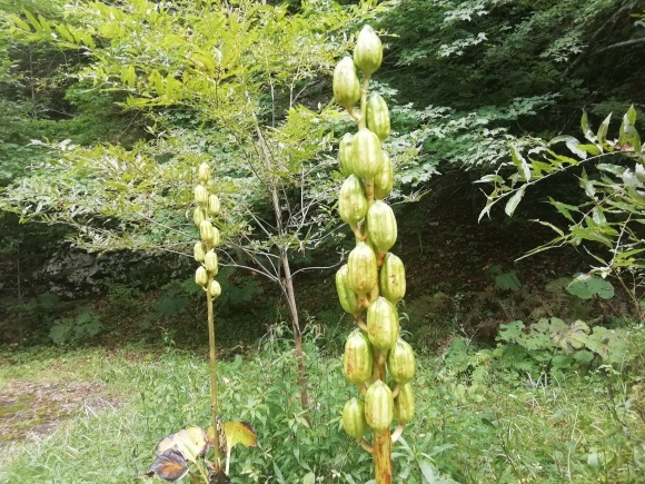 c0212083_17391938.jpg