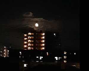 お月様_e0360486_13351714.jpg