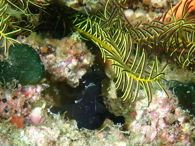 f0151886_17362978.jpg