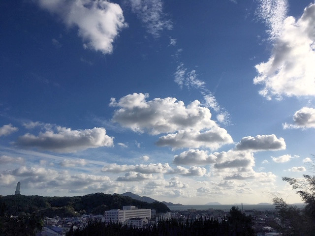 a0143491_20430469.jpg