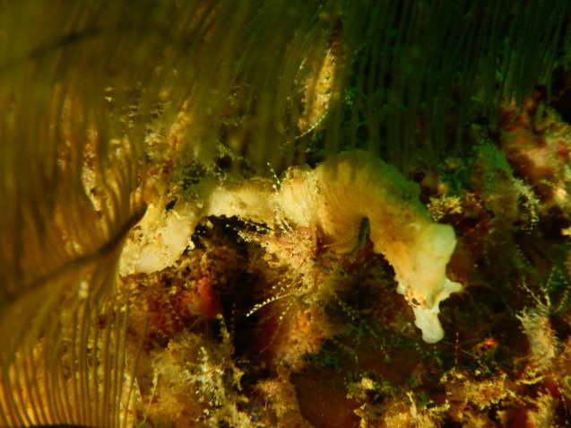 e0115199_19351193.jpg