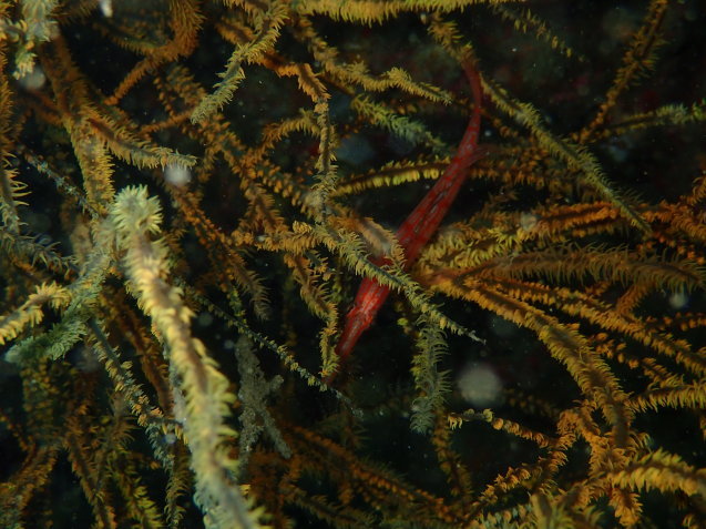 e0115199_19445527.jpg