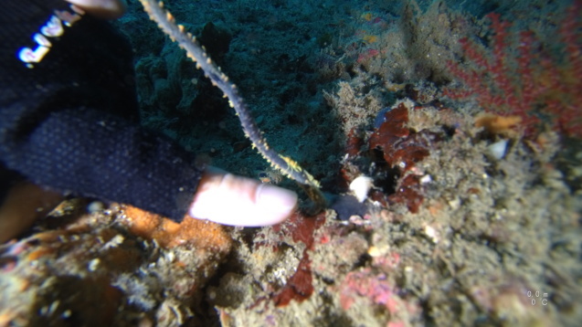e0115199_19465077.jpg