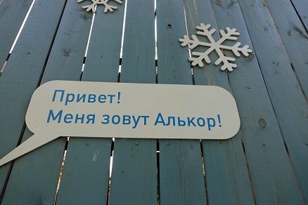 a0151913_1214511.jpg