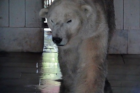 アルマトイ動物園へ ～ アリコルさん、はじめまして！_a0151913_15132100.jpg