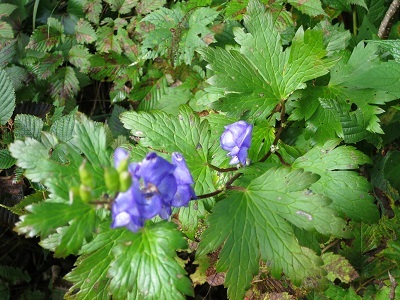 b0369813_11050088.jpg