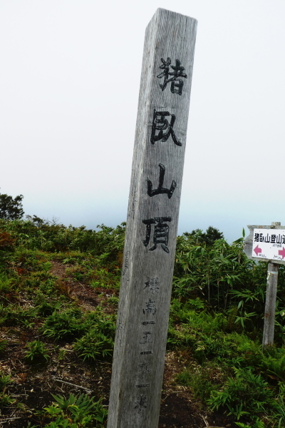 d0170615_14200643.jpg