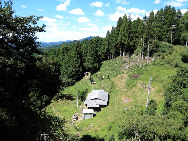 そこは 山の中_c0294553_04412193.jpg