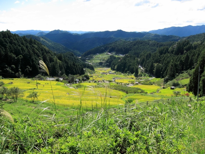 そこは 山の中_c0294553_04425009.jpg