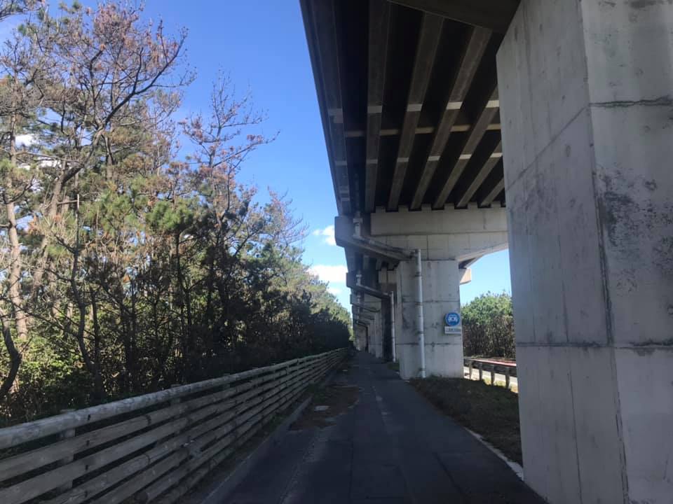 【48チャリ旅14:豊橋→御前崎95km】静岡に入ったぞ~!最高! 2019.9.14_b0002156_16294263.jpg