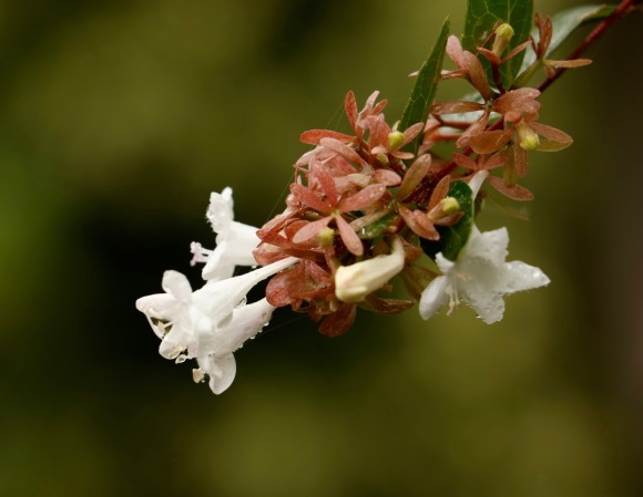a0248459_13514827.jpg