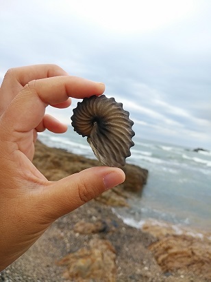c0172261_13511183.jpg