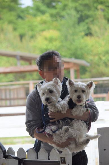 b0242873_08265559.png
