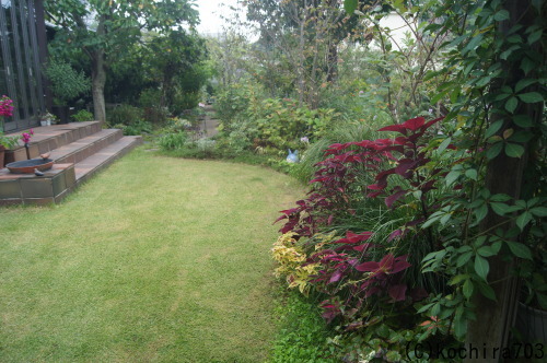 e0181373_20443644.jpg