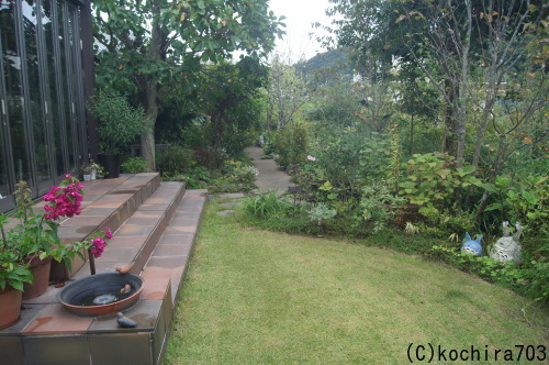 e0181373_20444413.jpg