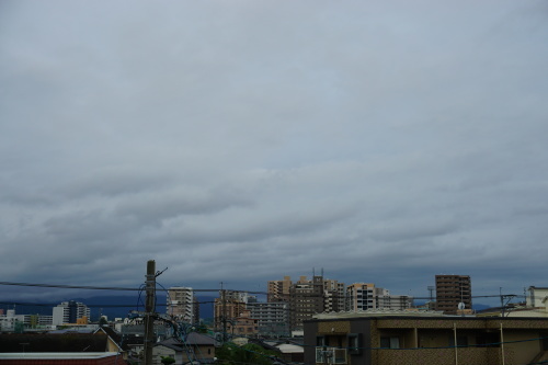c0169176_07262102.jpg