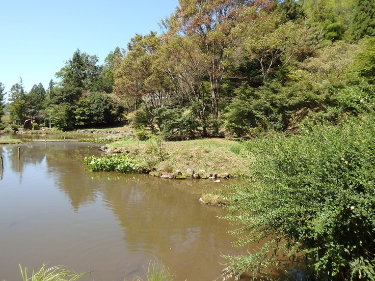 『大智寺の秋風景』_d0054276_2083128.jpg