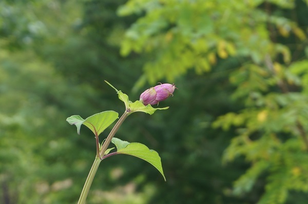 特に何も?_e0365880_22440478.jpg