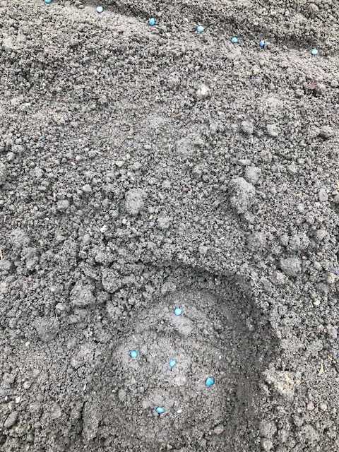 f0204295_18283241.jpg