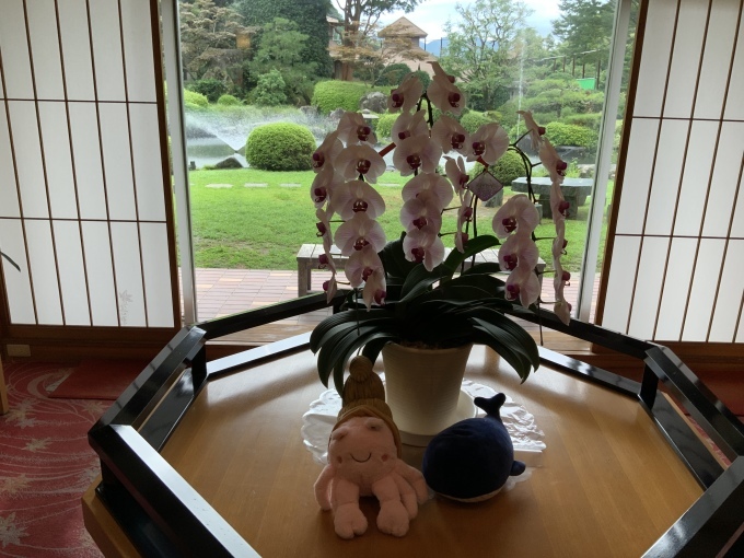 a0387000_06191911.jpeg