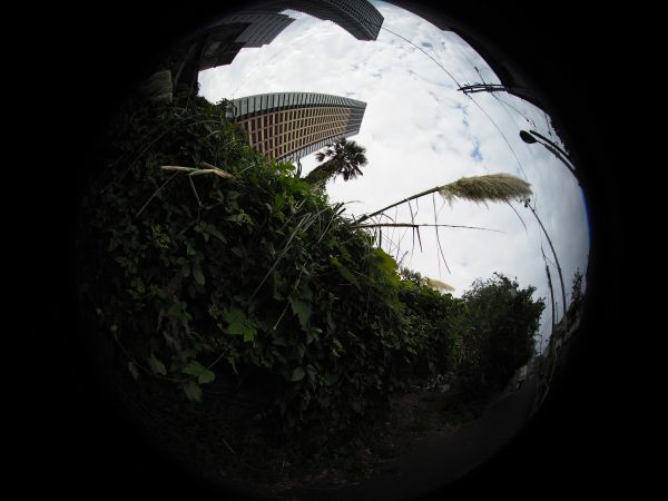 c0164709_06591343.jpg